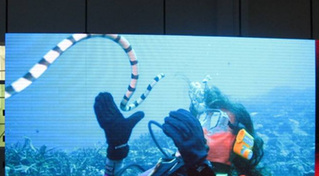 美股四次熔斷，會(huì)對(duì)室內(nèi)全彩led顯示屏行業(yè)造成怎樣的影響呢