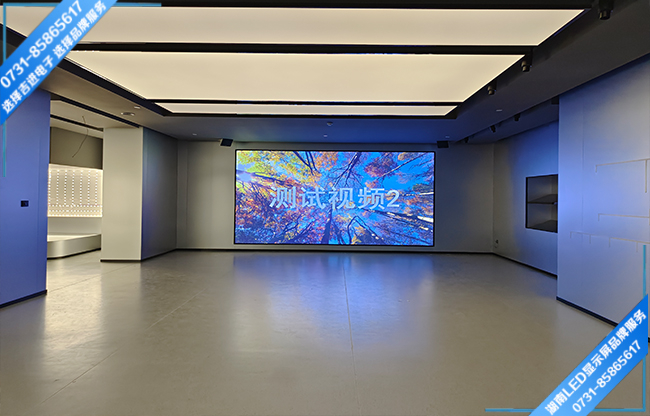 長沙市雨花區(qū)某產(chǎn)業(yè)園智能會(huì)議室LED顯示屏